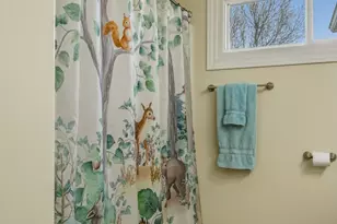 996 Meadow Path, Manteno, IL 60950 - Photo 25