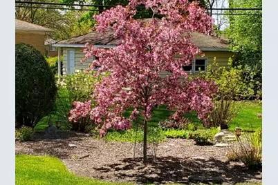 1715 Verde Court, Mount Prospect, IL 60056 - Photo 27