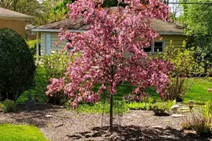 1715 Verde Ct, Mount Prospect, IL 60056 - Photo 27