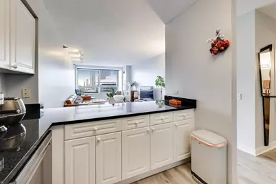 512 N McClurg Court #4411, Chicago, IL 60611 - Photo 9