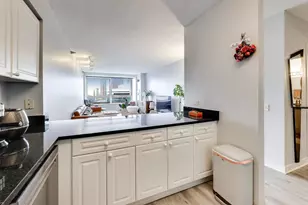 512 N McClurg Ct, Chicago, IL 60611 - Photo 9