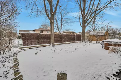 2414 Daniel Lewis Drive, New Lenox, IL 60451 - Photo 3