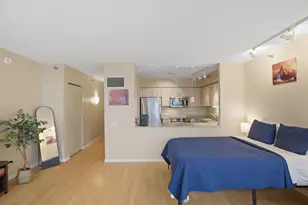 512 N McClurg Ct, Chicago, IL 60611 - Photo 5