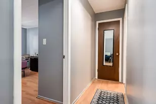 1019 N Boxwood Dr, Mount Prospect, IL 60056 - Photo 13