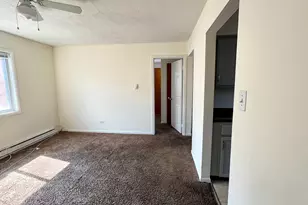 9106 S Halsted St, Chicago, IL 60620 - Photo 5