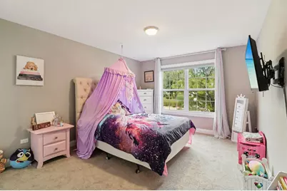 11138 Alpine Lane #0, Orland Park, IL 60467 - Photo 21