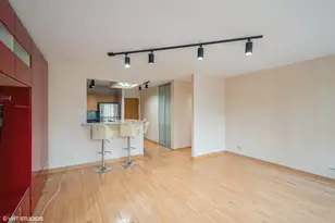 211 E Ohio St, Chicago, IL 60611 - Photo 5