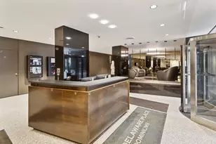 253 E Delaware Pl, Chicago, IL 60611 - Photo 17