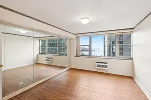 253 E Delaware Pl, Chicago, IL 60611 - Photo 7