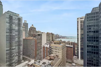 253 E Delaware Place #21G, Chicago, IL 60611 - Photo 11