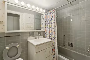 253 E Delaware Pl, Chicago, IL 60611 - Photo 9