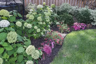 526 Greenwood Ave, Kenilworth, IL 60043 - Photo 31