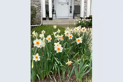 302 Chateau Drive, Buffalo Grove, IL 60089 - Photo 33