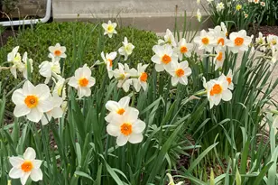 302 Chateau Dr, Buffalo Grove, IL 60089 - Photo 33