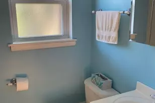 29 E Thorndale Ave, Roselle, IL 60172 - Photo 5