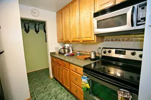 9717 S Keeler Ave, Oak Lawn, IL 60453 - Photo 9