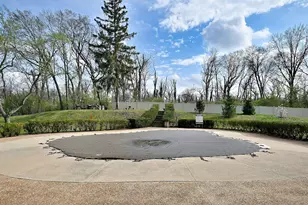 6700 S Brainard Ave, Countryside, IL 60525 - Photo 15
