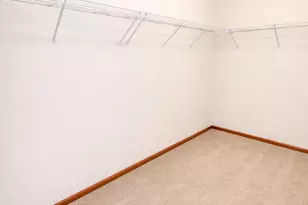 25355 Shannon Dr, Manhattan, IL 60442 - Photo 15