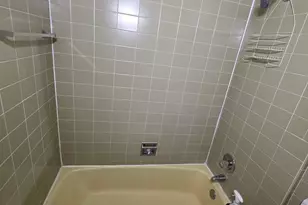 336 Lathrop Ave, Forest Park, IL 60130 - Photo 37