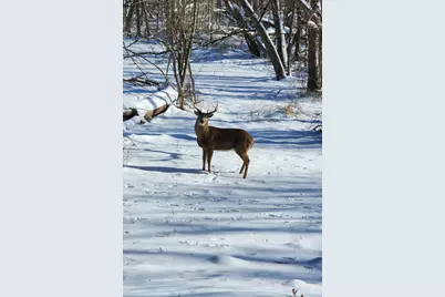 1420 Pine Grove Lane, New Lenox, IL 60451 - Photo 39