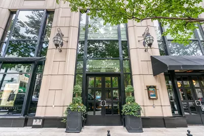 11 E Walton Street #4402, Chicago, IL 60611 - Photo 1