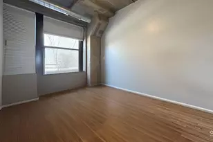 1069 W 14th Pl, Chicago, IL 60608 - Photo 17