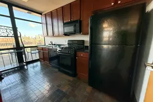 1069 W 14th Pl, Chicago, IL 60608 - Photo 33