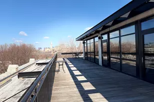 1069 W 14th Pl, Chicago, IL 60608 - Photo 29