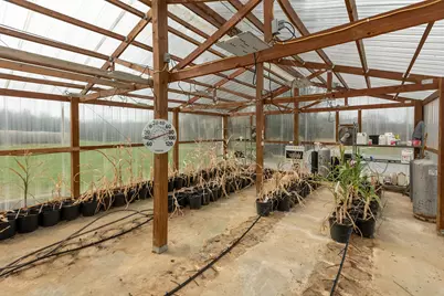 2930 Campground Road, Anna, IL 62906 - Photo 29