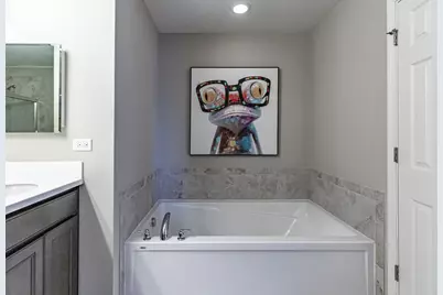 523 Town Center Boulevard, Gilberts, IL 60136 - Photo 19