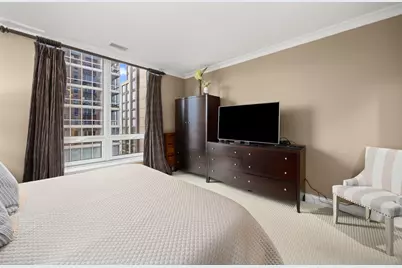 10 E Delaware Street #27E, Chicago, IL 60611 - Photo 15