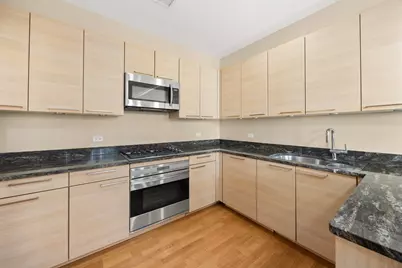 10 E Delaware Street #27E, Chicago, IL 60611 - Photo 11