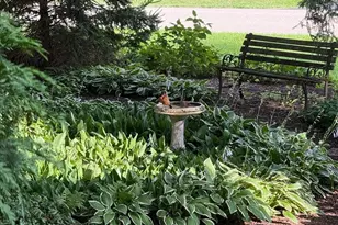 6136 Hidden Oak Dr, Crystal Lake, IL 60012 - Photo 43