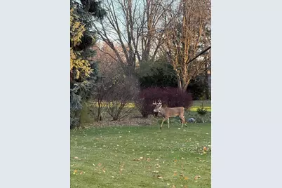 6136 Hidden Oak Drive, Crystal Lake, IL 60012 - Photo 45