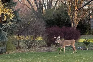 6136 Hidden Oak Dr, Crystal Lake, IL 60012 - Photo 45