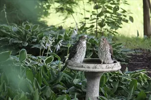 6136 Hidden Oak Dr, Crystal Lake, IL 60012 - Photo 41