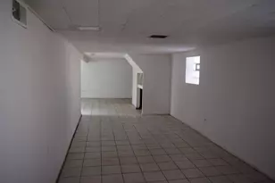 9132 S Crandon Ave, Chicago, IL 60617 - Photo 23