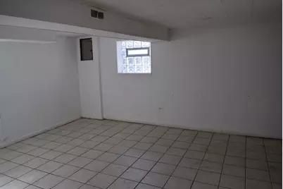 9132 S Crandon Avenue, Chicago, IL 60617 - Photo 19
