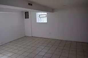 9132 S Crandon Ave, Chicago, IL 60617 - Photo 19