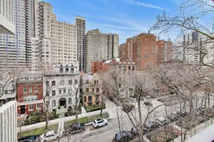 1430 N Astor St, Chicago, IL 60610 - Photo 11