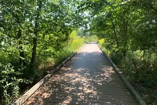 5915 N Artesian Ave, Chicago, IL 60659 - Photo 13