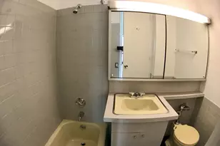 900 N Lake Shore Dr, Chicago, IL 60611 - Photo 21