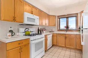 1636 Ashland Ave, Des Plaines, IL 60016 - Photo 13