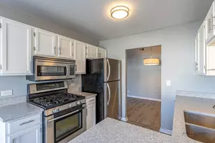 225 Winnsboro Ct, Schaumburg, IL 60193 - Photo 17