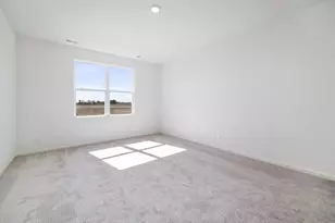 25510 W Sandalwood Ln, Plainfield, IL 60544 - Photo 11