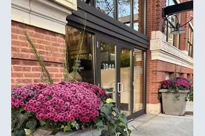 1040 W Adams Street #346, Chicago, IL 60607 - Photo 1