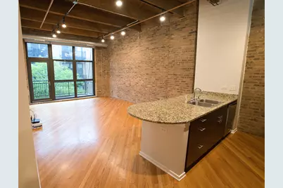 1040 W Adams Street #346, Chicago, IL 60607 - Photo 3