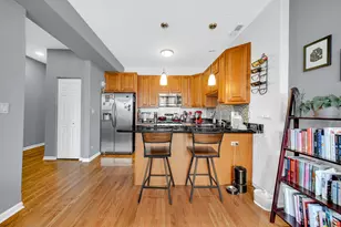 2945 W Belle Plaine Ave, Chicago, IL 60618 - Photo 7