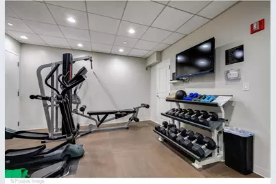 60 W Erie Street #601, Chicago, IL 60654 - Photo 31