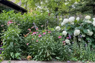 336 Hamilton Ave, Elgin, IL 60123 - Photo 37